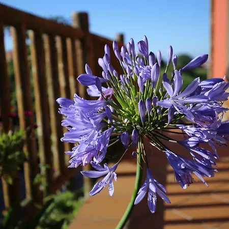 فندق Montesomao برافيا